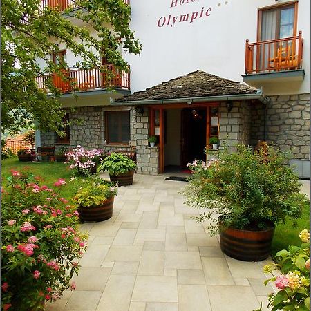 Hotel Olympic Metsovo Extérieur photo