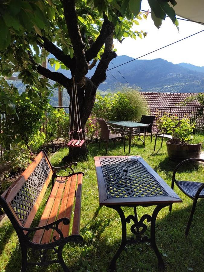 Hotel Olympic Metsovo Extérieur photo