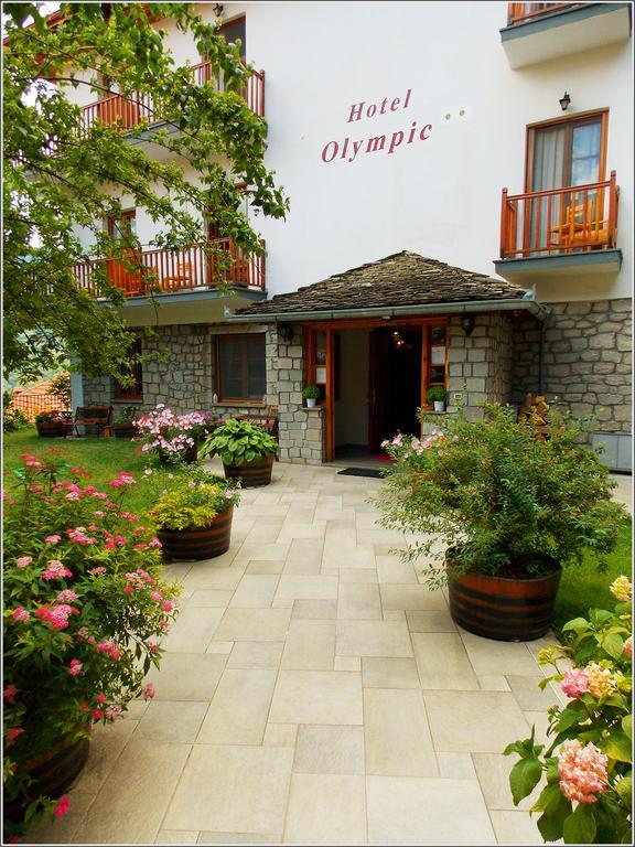 Hotel Olympic Metsovo Extérieur photo