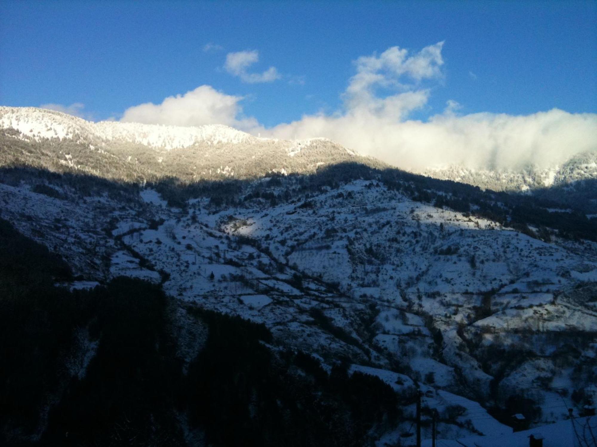 Hotel Olympic Metsovo Extérieur photo