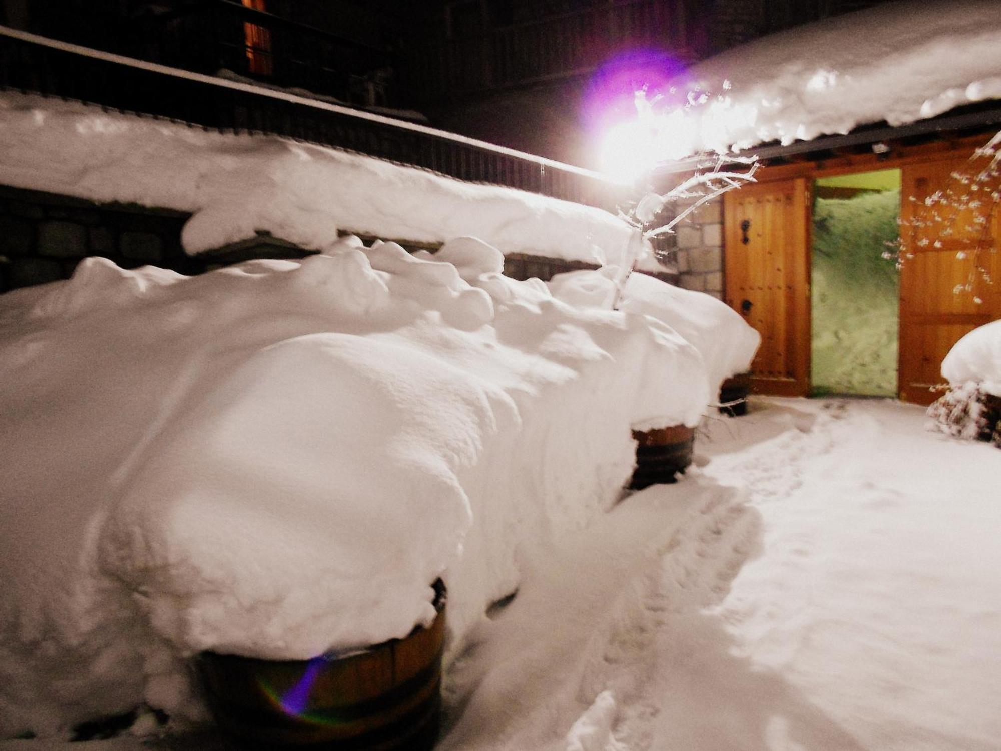 Hotel Olympic Metsovo Extérieur photo
