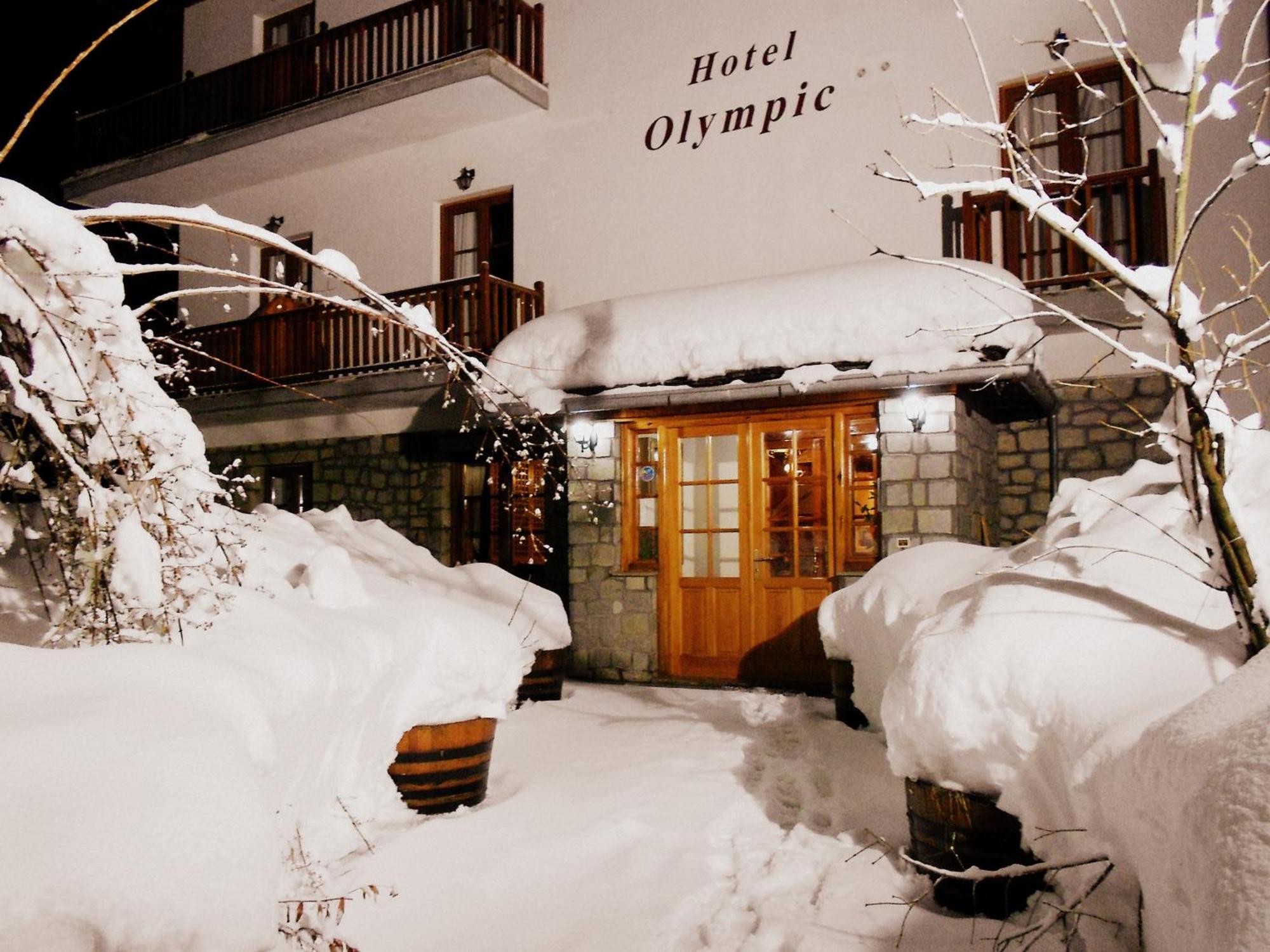 Hotel Olympic Metsovo Extérieur photo
