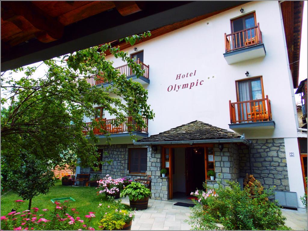 Hotel Olympic Metsovo Extérieur photo