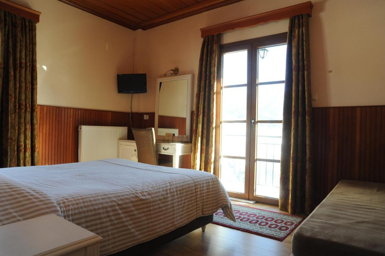 Hotel Olympic Metsovo Extérieur photo