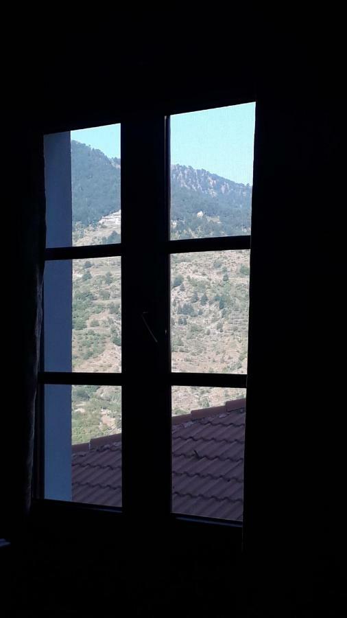 Hotel Olympic Metsovo Extérieur photo